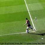 phat-goc-la-gi-trong-bong-da-co-quan-trong-hay-khong