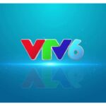 xem bóng đá trực tiếp trên youtube hôm nay vtv6