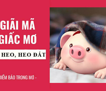 mơ thấy heo