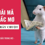 mơ thấy chuột